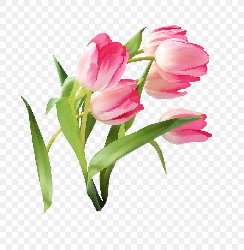 Tulip Flower, PNG, 999x1024px, Tulip, Animation, Artificial Flower, Bud, Color Download Free