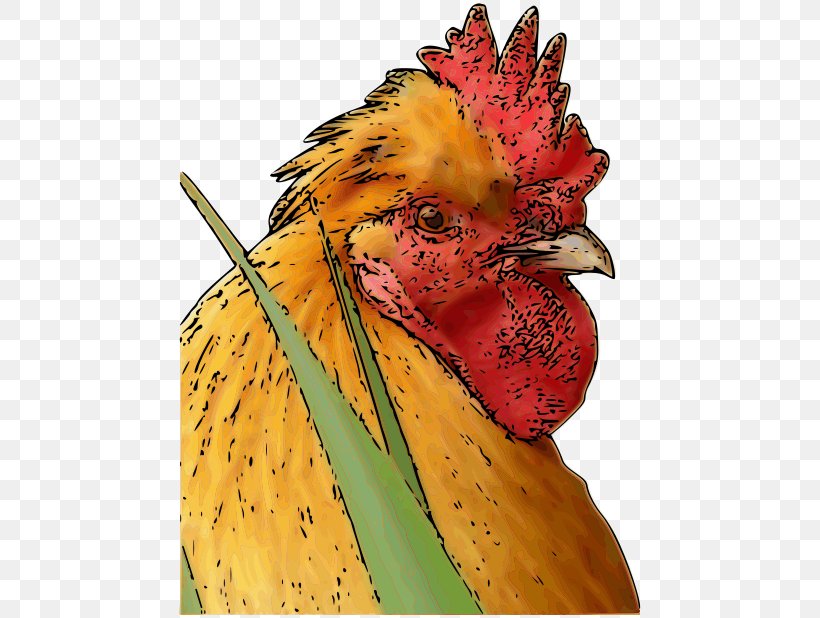 Chicken Rooster Poultry Farming Bird Phasianidae, PNG, 800x618px, Chicken, Beak, Bird, Chinese Zodiac, Cock A Doodle Doo Download Free