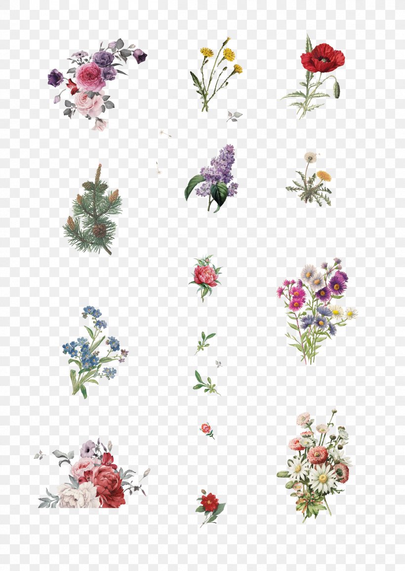 Floral Design Cut Flowers Petal, PNG, 2516x3543px, Floral Design, Brochure, Computer Font, Cut Flowers, Flora Download Free