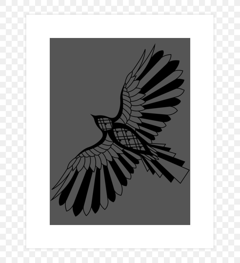 T-shirt Design By Humans Hoodie Raglan Sleeve, PNG, 740x900px, Tshirt, Beak, Bird, Bird Of Prey, Black And White Download Free