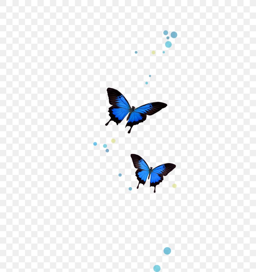 Brush-footed Butterflies The Complete Dream Book: Discover What Your Dreams Reveal About You And Your Life Butterfly Clip Art, PNG, 319x871px, Brushfooted Butterflies, Book, Brush Footed Butterfly, Butterfly, Dream Download Free