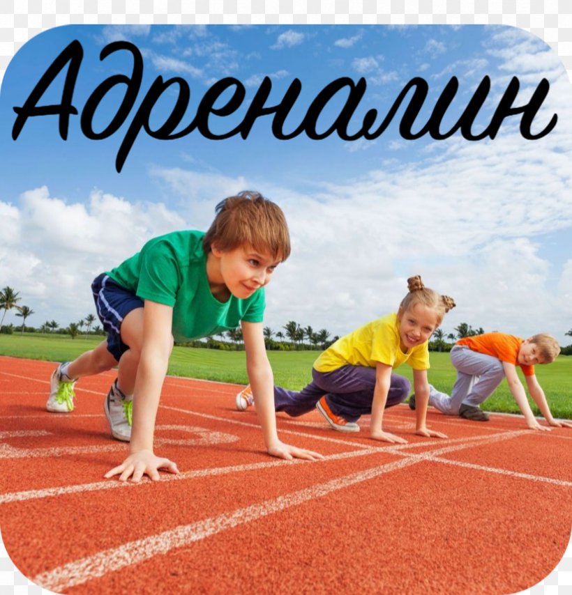 Child Physical Fitness Exercise Sports General Fitness Training, PNG, 824x859px, Child, Athletics, Competition, Endurance, Exercise Download Free