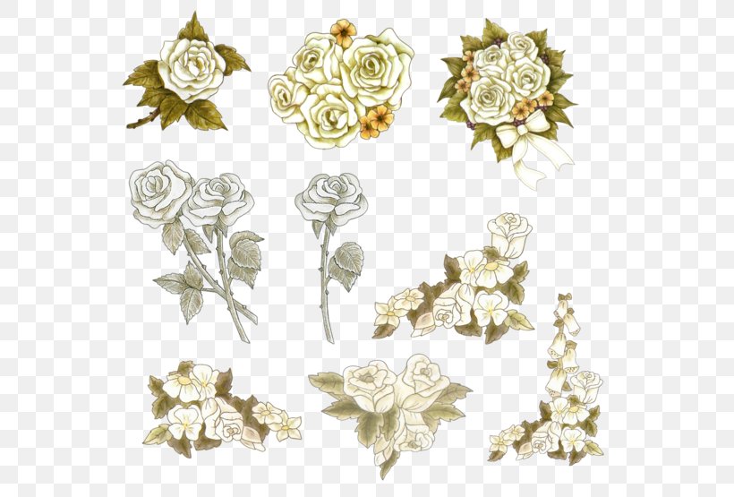 Drawing Garden Roses Picture Frames Photography Clip Art, PNG, 600x555px, Drawing, Body Jewelry, Cut Flowers, Fashion Accessory, Flora Download Free