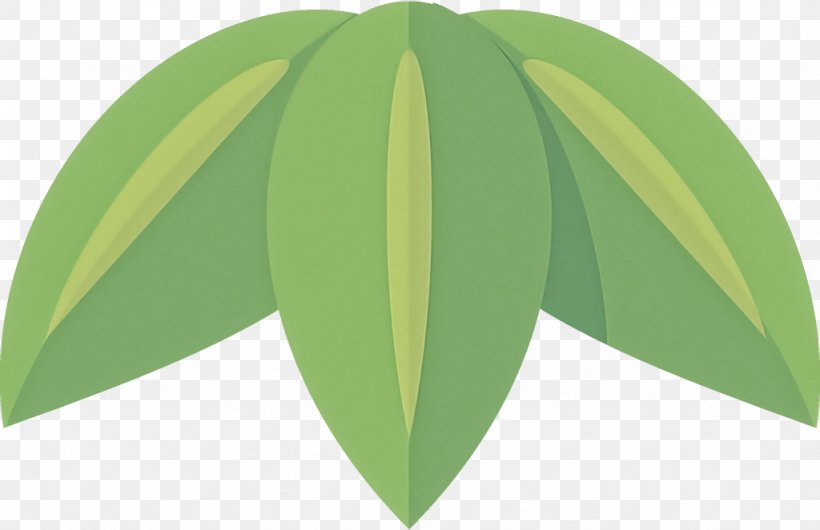 Green Leaf Plant Tree Yellow, PNG, 1024x662px, Green, Flower, Leaf, Plant, Tree Download Free