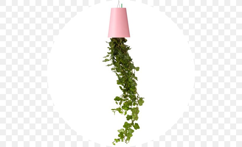 Plants Flowerpot EBay Korea Co., Ltd. Moss-rose Purslane Trailing Ice Plant, PNG, 500x500px, Plants, Coupon, Ebay Korea Co Ltd, Flower, Flowerpot Download Free