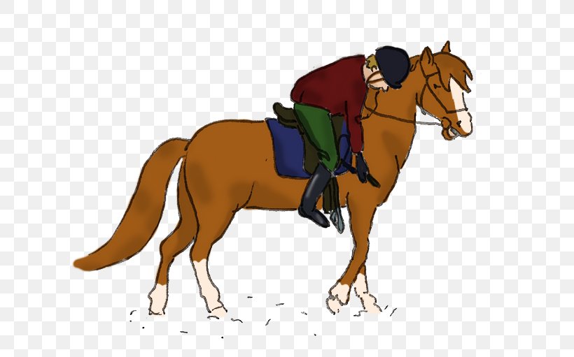 Pony Mustang English Riding Stallion Equestrian, PNG, 671x511px, Pony, Bridle, English Riding, Equestrian, Equestrian Sport Download Free