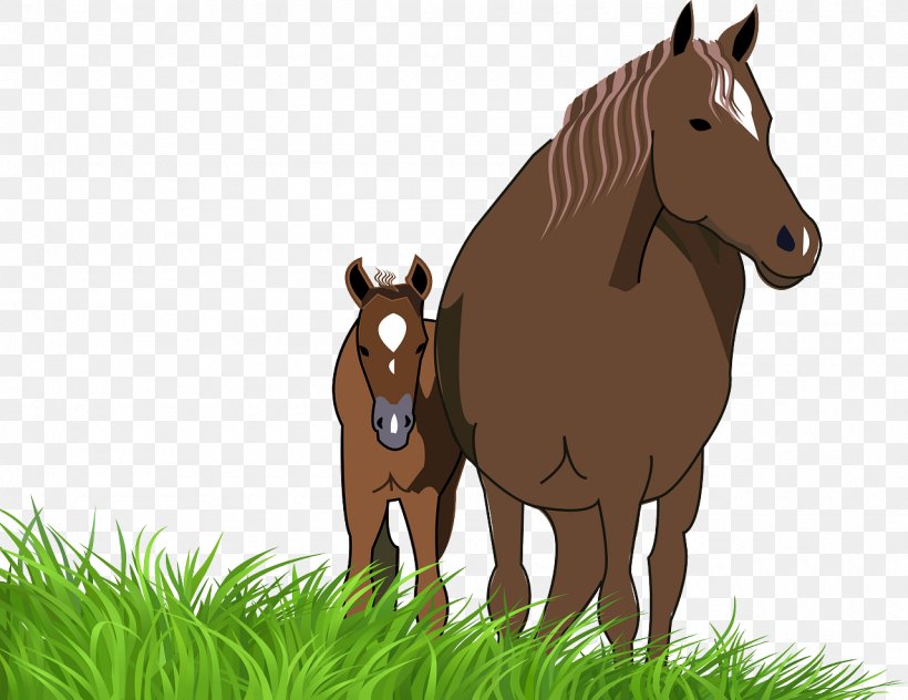 American Paint Horse Foal Mare Pony Clip Art, PNG, 1280x987px, American Paint Horse, Bay, Black, Bridle, Colt Download Free