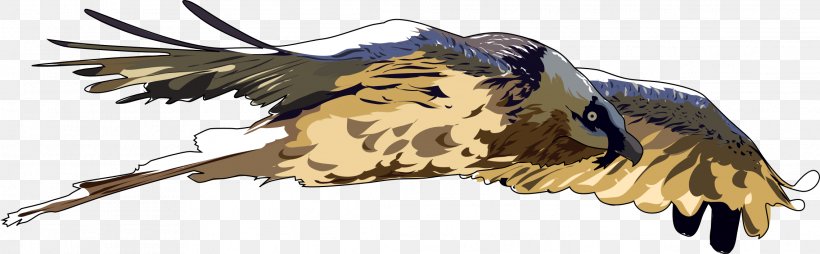 Bird Of Prey Bearded Vulture Clip Art, PNG, 2278x706px, Bird, Accipitriformes, Animal Figure, Beak, Bearded Vulture Download Free
