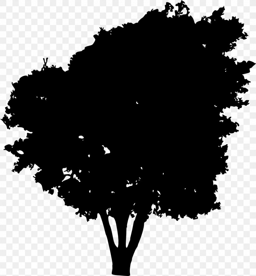 Tree Silhouette Clip Art, PNG, 1113x1200px, Tree, Black, Black And White, Branch, Drawing Download Free