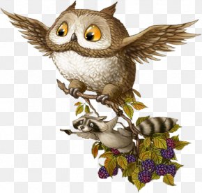 Owl - Baby Owls Bird Barn Owl Raccoons PNG