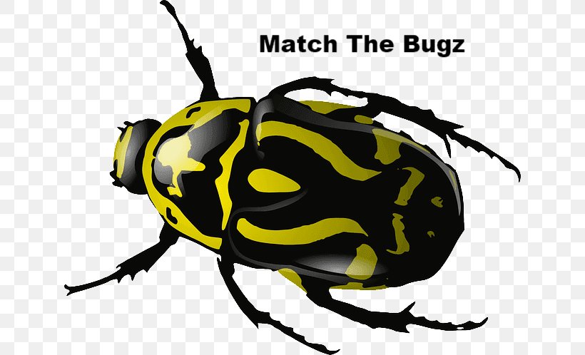 Beetle Download Clip Art, PNG, 640x498px, Beetle, Arthropod, Artwork, Blog, Insect Download Free