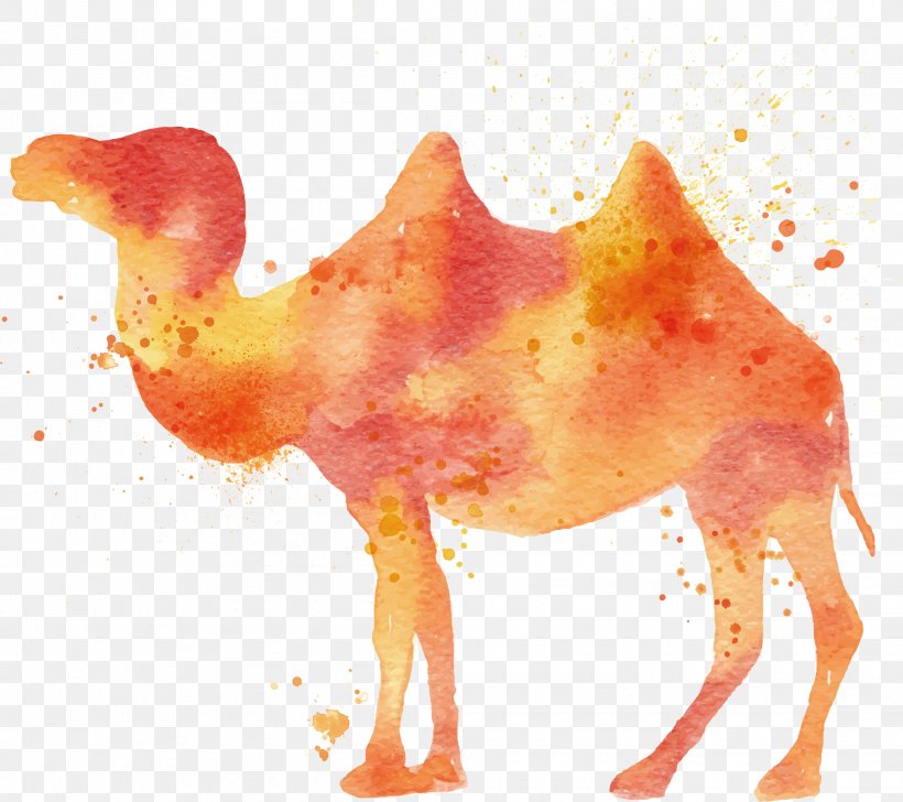 Camel Watercolor Painting Illustration, PNG, 2215x1969px, Camel, Art, Beak, Camel Like Mammal, Chicken Download Free