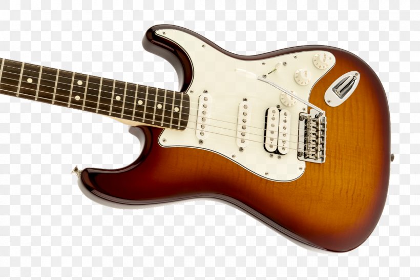 Fender Stratocaster Fender Standard Stratocaster Squier Sunburst Fingerboard, PNG, 1200x800px, Fender Stratocaster, Acoustic Electric Guitar, Bass Guitar, Electric Guitar, Electronic Musical Instrument Download Free