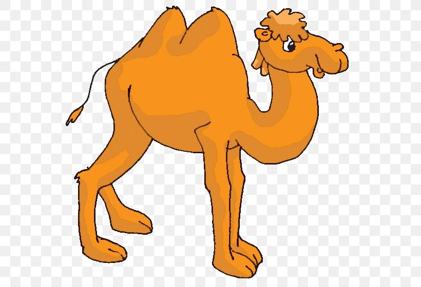 Dromedary Bactrian Camel Animal Сорочьи сказки Fairy Tale, PNG, 584x560px, Dromedary, Aleksey Nikolayevich Tolstoy, Animal, Animal Figure, Arabian Camel Download Free
