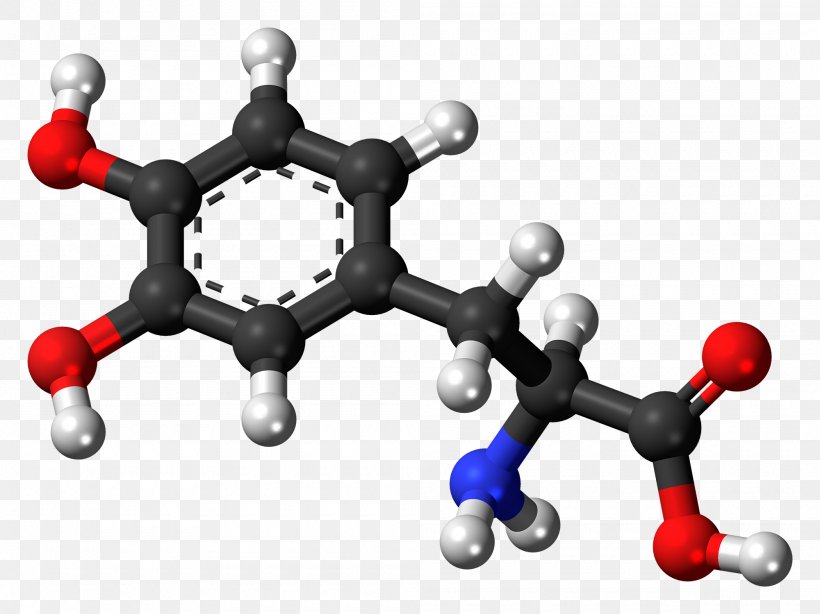Tyrosine Ball-and-stick Model Levodopa Norepinephrine Molecule, PNG, 2000x1499px, Tyrosine, Amino Acid, Ballandstick Model, Body Jewelry, Catecholamine Download Free