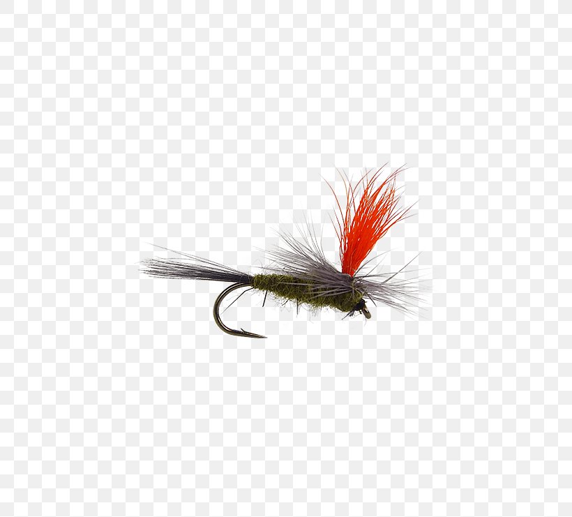 Artificial Fly Fly Fishing Hackles Insect, PNG, 555x741px, Artificial Fly, Cdc, Crane Fly, Fishing, Fishing Bait Download Free