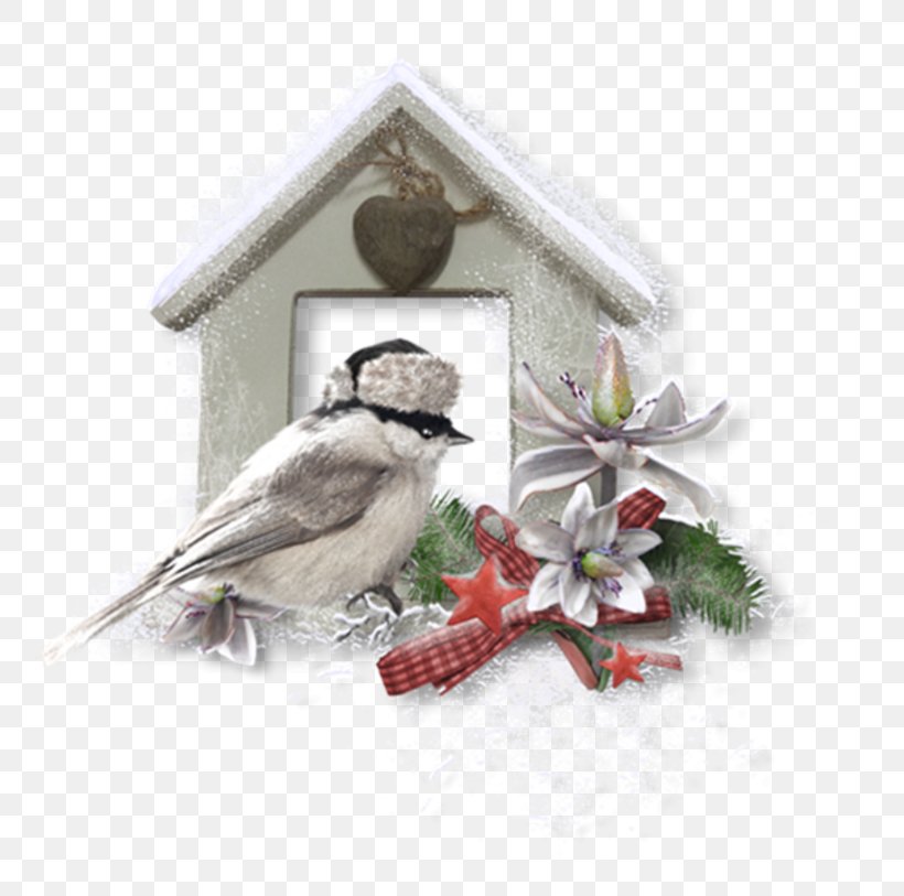 Christmas Festival Wreath, PNG, 800x813px, Christmas, Beak, Bird, Cartoon, Christmas Ornament Download Free