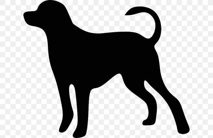 Dog Cat Pet Animal Loss, PNG, 640x531px, Dog, Animal, Animal Loss, Animal Rescue Group, Animal Shelter Download Free