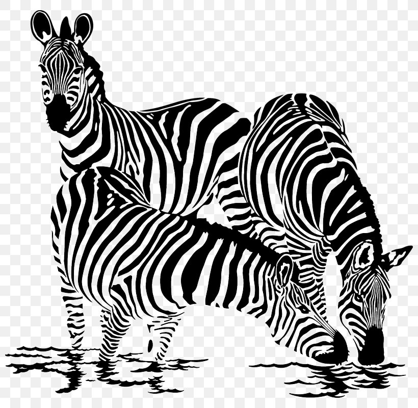 Drawing Vector Graphics Royalty-free Illustration Clip Art, PNG, 800x800px, Drawing, Big Cats, Black And White, Carnivoran, Drinking Download Free