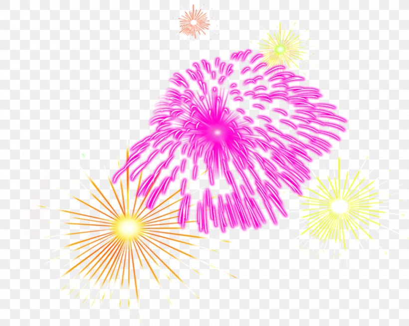 Graphic Design Fireworks Lunar New Year, PNG, 861x687px, Fireworks, Art, Chinese New Year, Firecracker, Flower Download Free