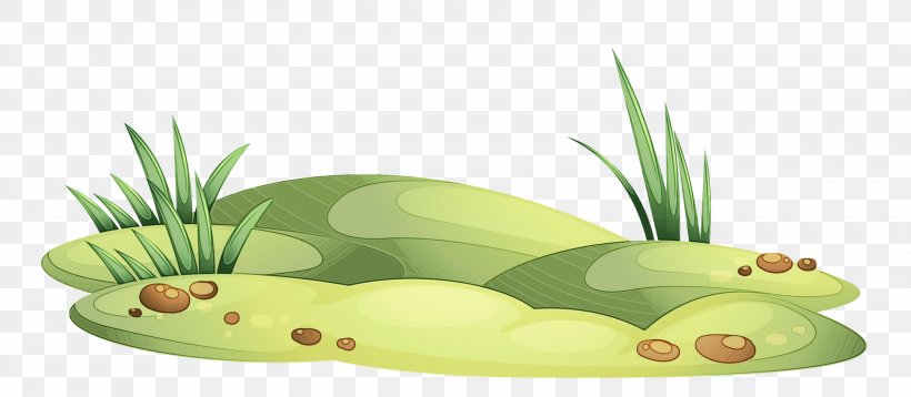 Green Grass Background, PNG, 3000x1310px, Watercolor, Animal, Bromeliaceae, Fruit, Grass Download Free