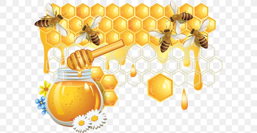 Honey Bee Honeycomb, PNG, 600x425px, Bee, Beehive, Drawing, Food, Fruit Download Free