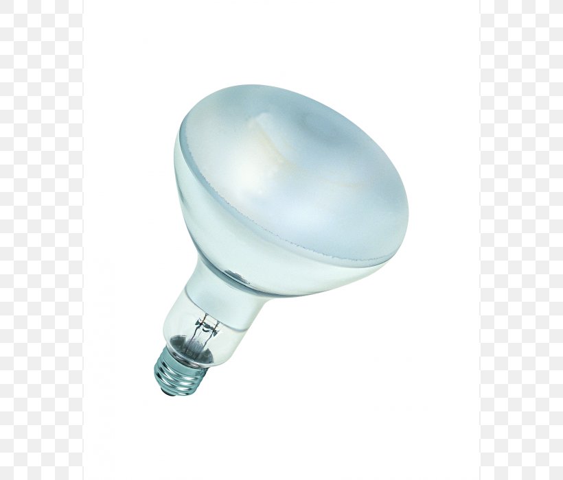 Incandescent Light Bulb Edison Screw Lamp Osram, PNG, 700x700px, Light, Blacklight, Edison Screw, Electric Light, Floodlight Download Free