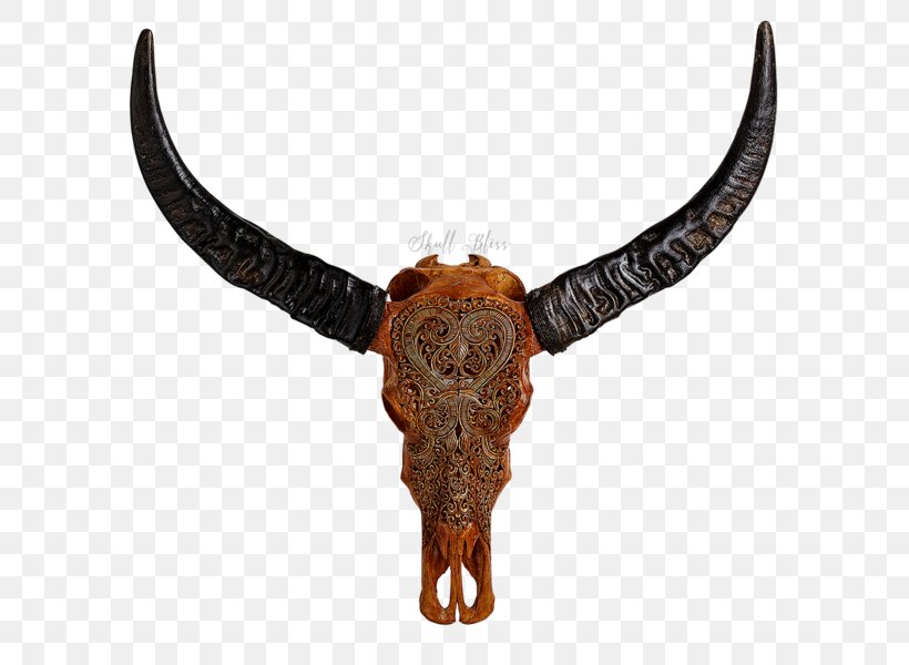 Animal Skulls Cattle Horn, PNG, 600x600px, Animal Skulls, American Bison, Animal, Antique, Cargo Download Free
