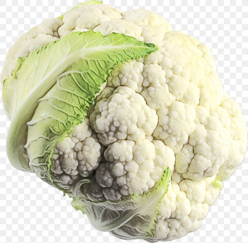 Cauliflower, PNG, 1280x1252px, Watercolor, Broccoli, Cabbage, Cauliflower, Ingredient Download Free