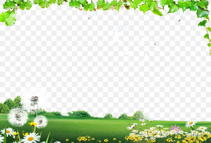 Chroma Key Green Fundal, PNG, 990x675px, Chroma Key, Animation, Flower, Fundal, Games Download Free