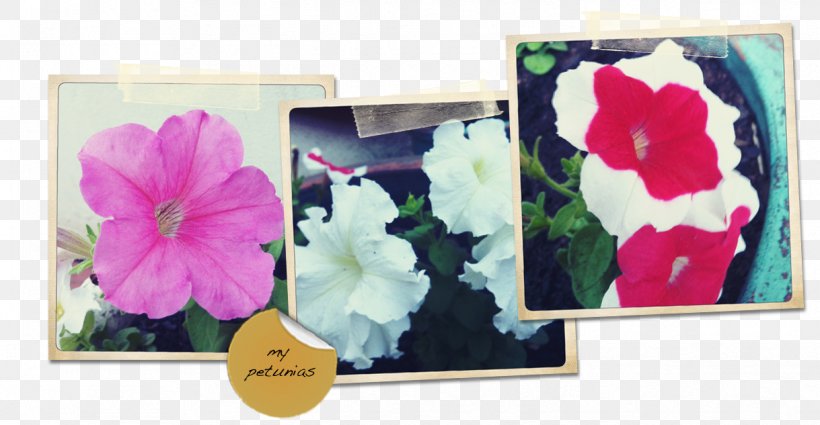 Floral Design Picture Frames Pink M Violet, PNG, 1219x633px, Floral Design, Family, Floristry, Flower, Flower Arranging Download Free