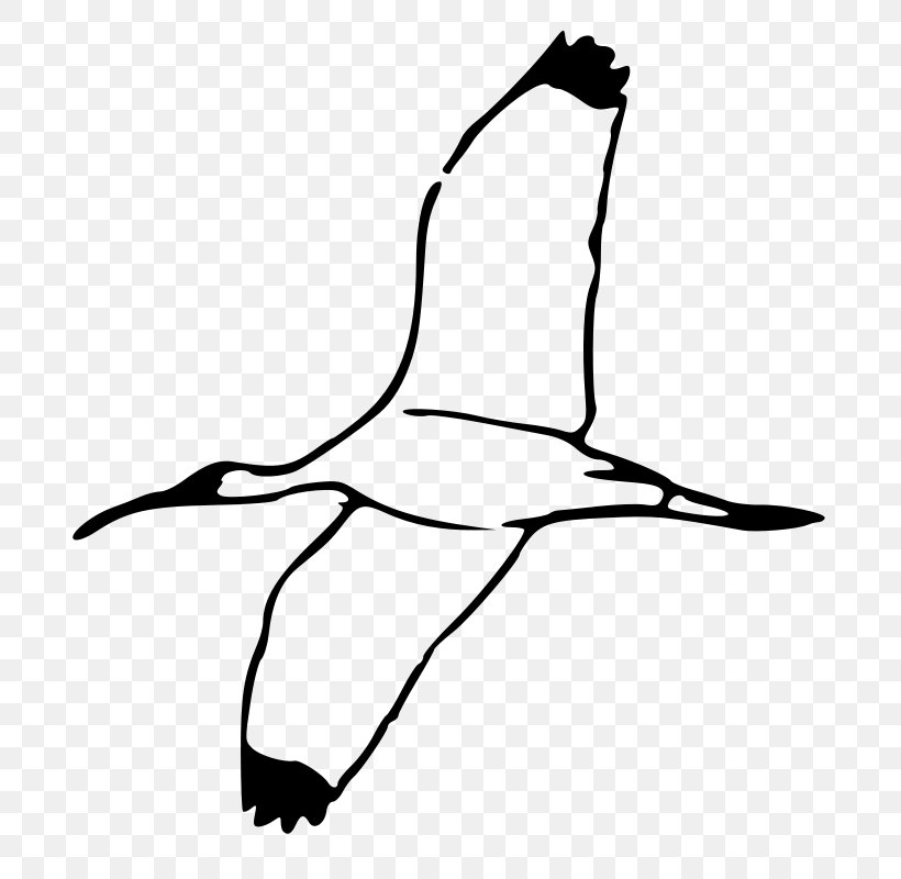 Ibis Clip Art, PNG, 727x800px, Ibis, African Sacred Ibis, American White Ibis, Art, Australian White Ibis Download Free