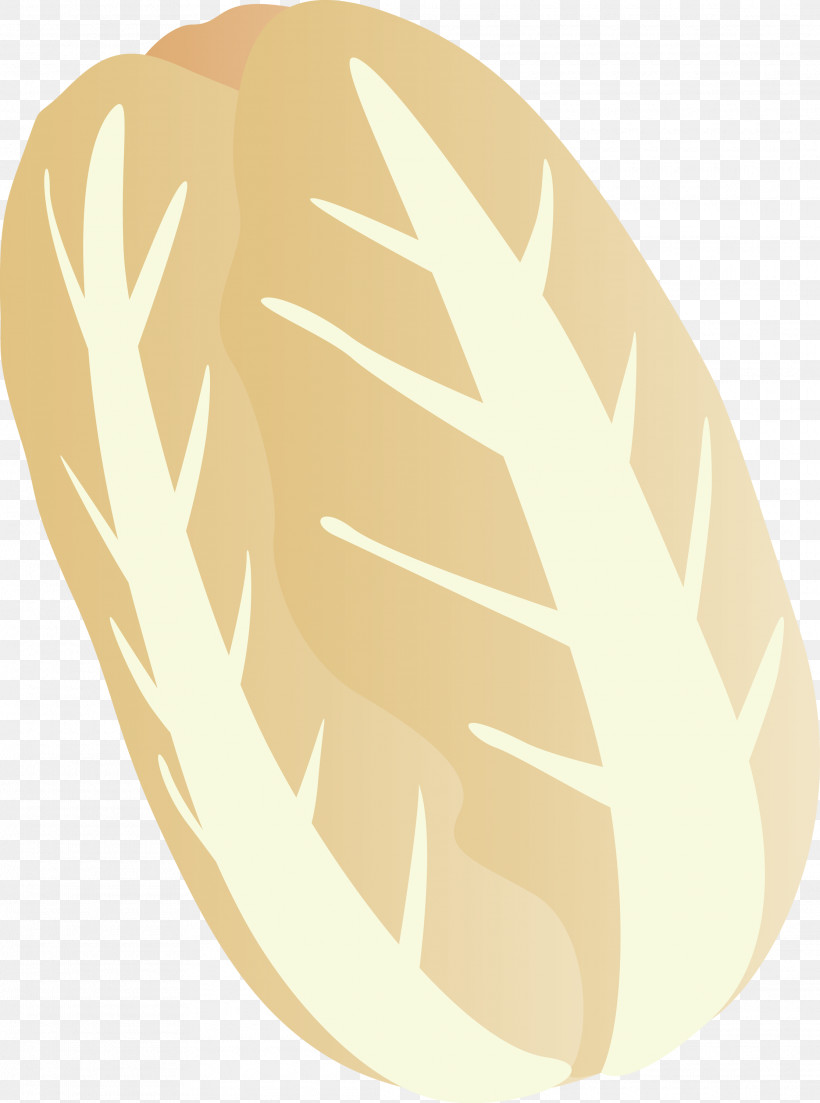 Nappa Cabbage, PNG, 2230x3000px, Nappa Cabbage, Beige, Leaf, Potato, Vegetable Download Free