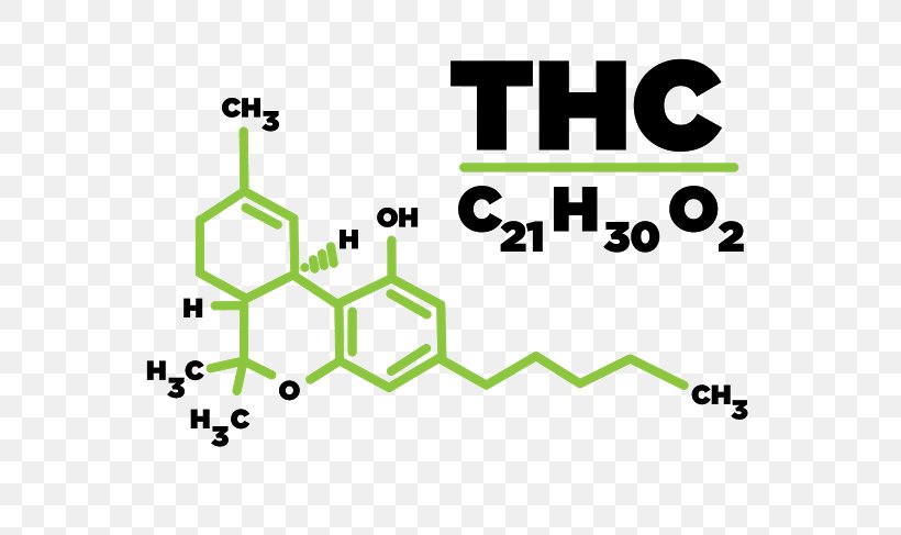 Tetrahydrocannabinol Medical Cannabis Cannabidiol Hash Oil, PNG, 584x487px, Tetrahydrocannabinol, Area, Brand, Cannabidiol, Cannabinoid Download Free