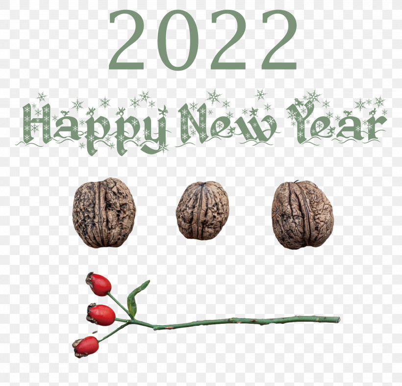 2022 Happy New Year 2022 New Year 2022, PNG, 3000x2881px, Meter Download Free