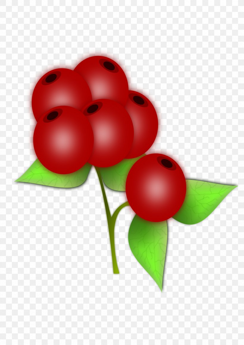 Berry Fruit Clip Art, PNG, 1697x2400px, Berry, Blackberry, Flower, Food, Fruit Download Free