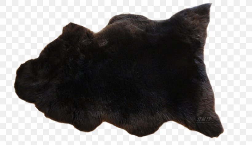 Cat Dog Fur Snout Canidae, PNG, 1100x634px, Cat, Black, Black Cat, Black M, Canidae Download Free