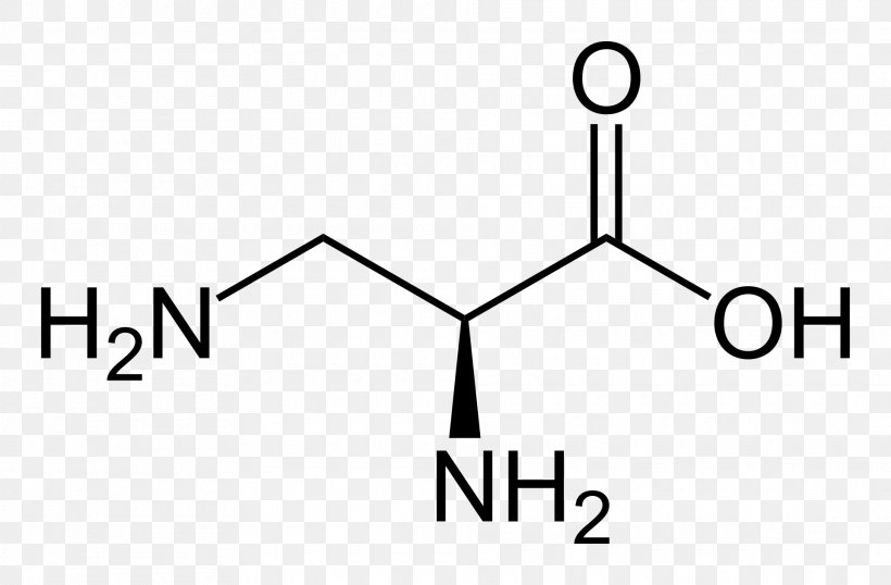 Essential Amino Acid Aspartic Acid Taurine, PNG, 1920x1260px, Amino Acid, Acid, Amine, Area, Aspartic Acid Download Free