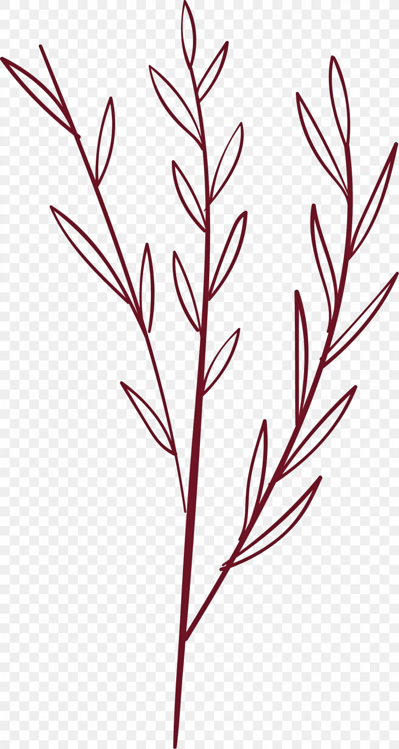 Simple Leaf Simple Leaf Drawing Simple Leaf Outline, PNG, 1291x2422px, Simple Leaf, Acacia, Annual Plant, Branch, Bud Download Free
