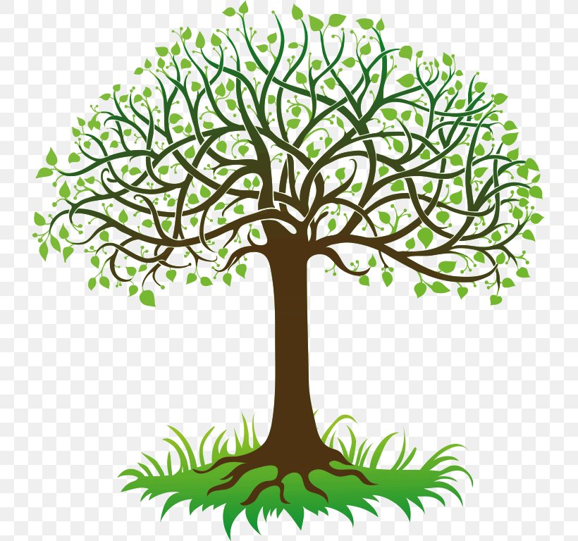 Tree Root Clip Art, PNG, 727x768px, Tree, Artwork, Branch, Drawing, Flower Download Free