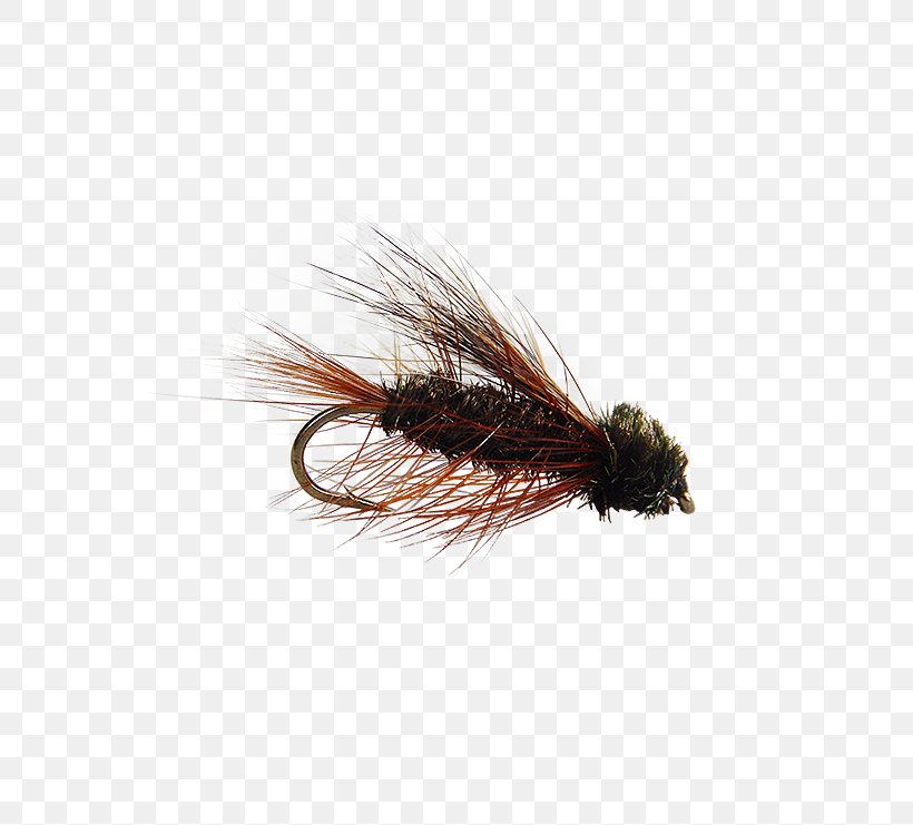 Artificial Fly Fly Fishing Insect, PNG, 555x741px, Artificial Fly, Brand, Brand Ambassador, Close Up, Clothing Accessories Download Free