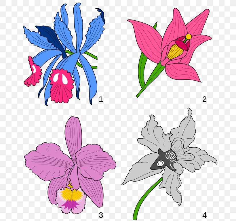 Cattleya Trianae Floral Design Orchids Heraldry Clip Art, PNG, 698x768px, Cattleya Trianae, Art, Butterfly, Cartoon, Cattleya Orchids Download Free