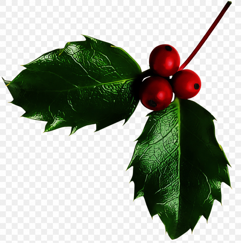 Christmas Holly Ilex Holly, PNG, 1300x1314px, Christmas Holly, American Holly, Berry, Christmas, Flower Download Free