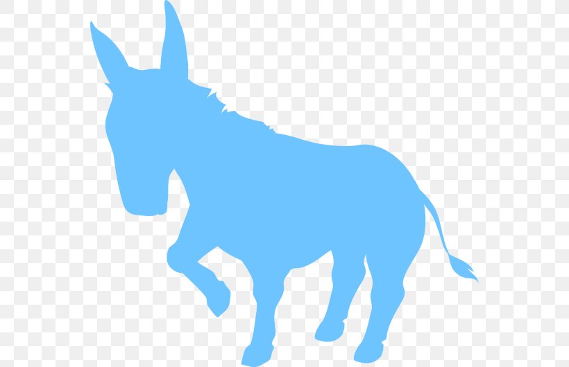 Donkey Cartoon, PNG, 560x530px, Mule, Animal Figure, Breed, Burro, Democratic Party Download Free
