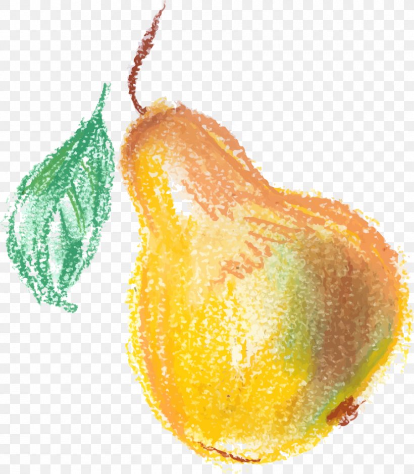 Pear Download Google Images, PNG, 900x1031px, Pear, Calabaza, Citrus, Cucurbita, Food Download Free