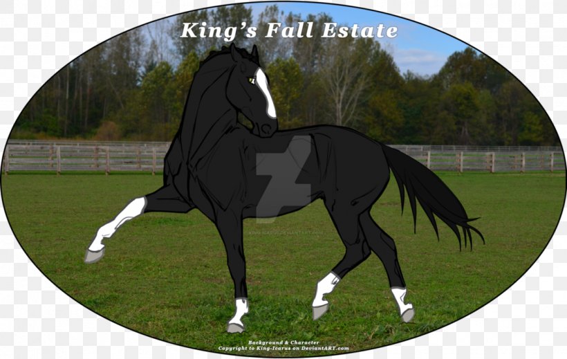 Stallion Dressage Maunsell Forts Bridle Art, PNG, 1123x712px, Stallion, Art, Artist, Bridle, Deviantart Download Free