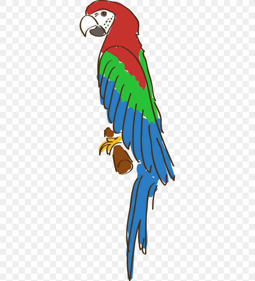 Amazon Parrot Drawing Cartoon, PNG, 307x904px, Parrot, Amazon Parrot, Animal Figure, Animation, Artwork Download Free