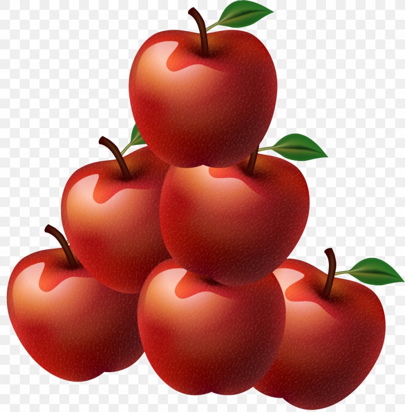 Bush Tomato Barbados Cherry Vegetarian Cuisine Cranberry, PNG, 1001x1021px, Tomato, Accessory Fruit, Acerola, Acerola Family, Apple Download Free