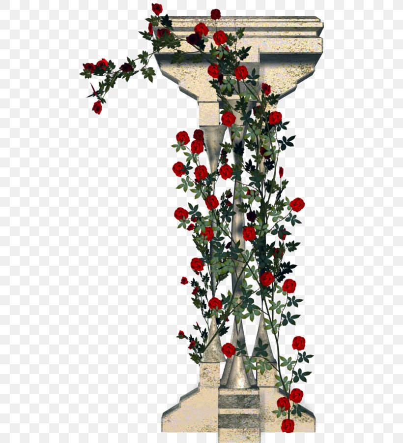 Garden Roses Column Rambler-Rose Floral Design, PNG, 499x900px, Garden Roses, Aquifoliaceae, Architecture, Branch, Christmas Decoration Download Free