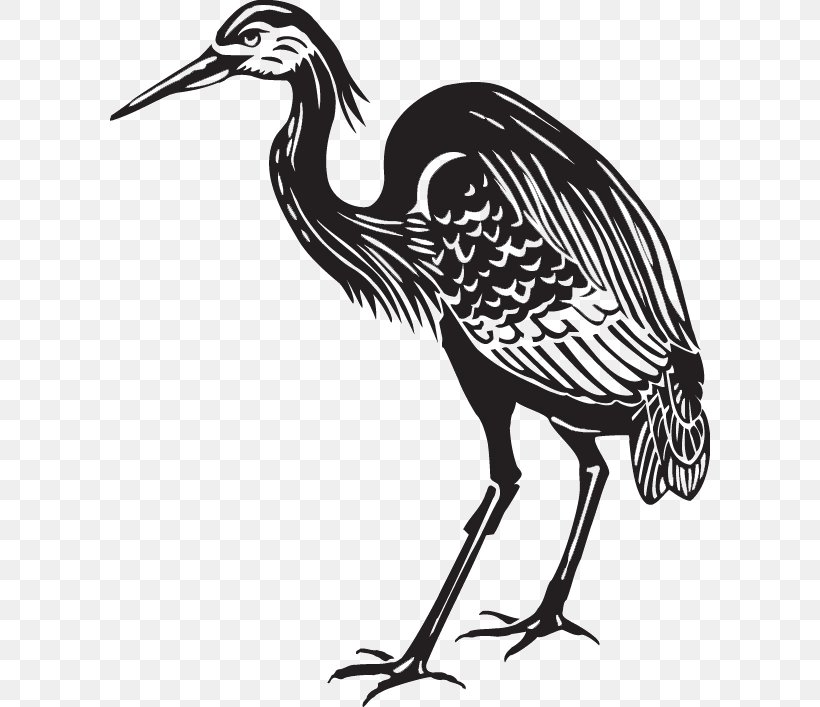 Great Blue Heron Crane Bird Clip Art, PNG, 600x707px, Heron, Animal, Art, Beak, Bird Download Free